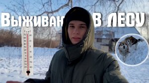 Выживаю один в лесу