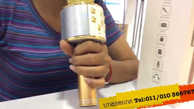 Microphone Speaker WS-858 12leap смотреть онлайн