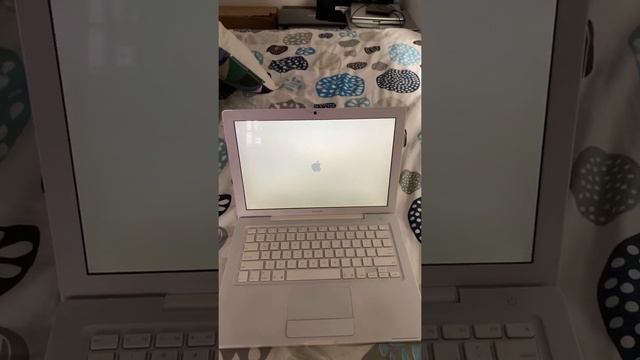 Early 2006 MacBook Boot