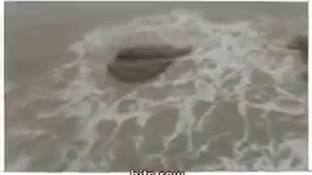 Русалки существуют смотреть онлайн