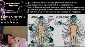 Лярва - что это такое. Влияние лярвы на человека и как ей противодействовать.