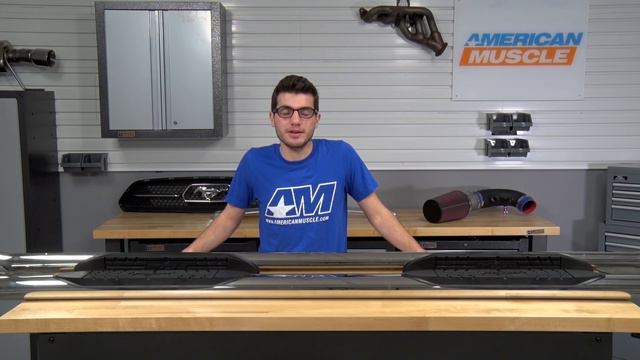 2015-2016 F-150 Raptor Series 4" OE Style Curved Oval Side Step Bars Review & Install смотреть онлайн