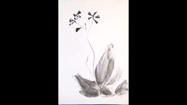 Bach Sketch # 10 смотреть онлайн
