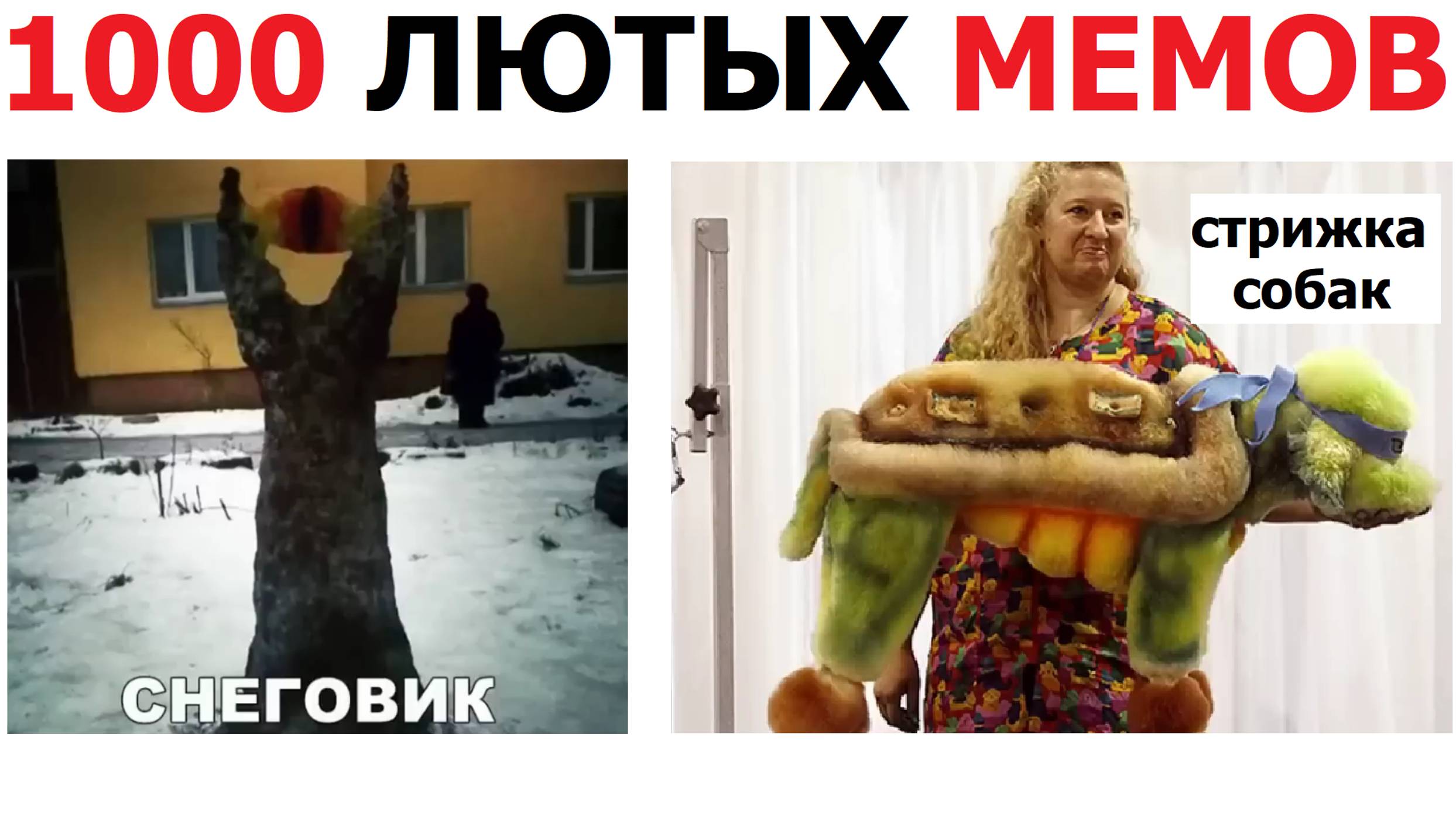 1000 приколов с канала Макса Максимова смотреть онлайн