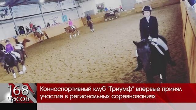 Конный спорт смотреть онлайн