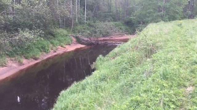 Мшинская Ящера красоты и рыбалка смотреть онлайн
