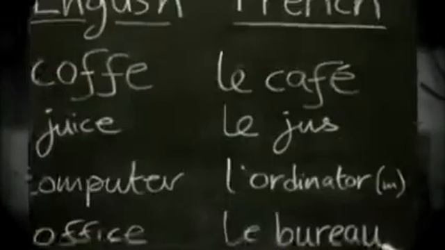 Animal Hospitals Ferney-Voltaire Area смотреть онлайн