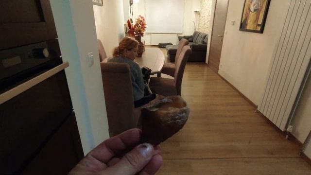 Щенок ГРЫЗЕТ мебель, плинтуса и пакостит. МОПС, уход и дрессировка. смотреть онлайн
