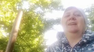 ЖИЗНЬ В ДЕРЕВНЕ/Электротяпка сможет ли заменить тяпку или по нашему Мотыгу.Мысли вслух.