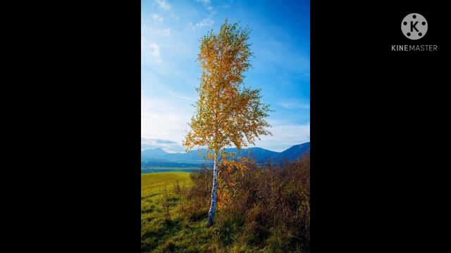 Исполнители: Александр и Ольга Бережные. "На горе, на горушке". смотреть онлайн