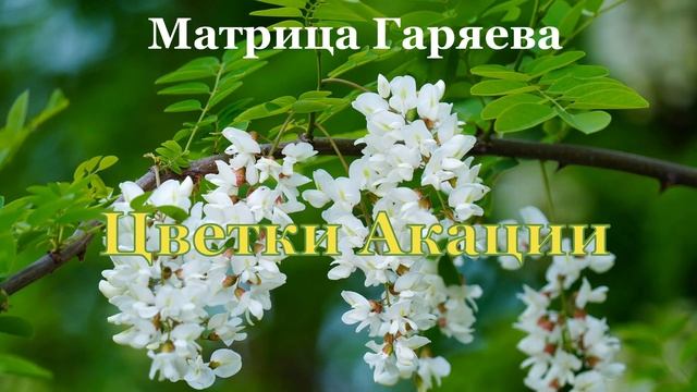 Матрица Гаряева?Цветки Акации?Matrix Garyaev?Acacia flowers смотреть онлайн