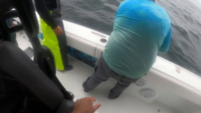 +200 LB YELLOWFIN TUNA ONLY смотреть онлайн