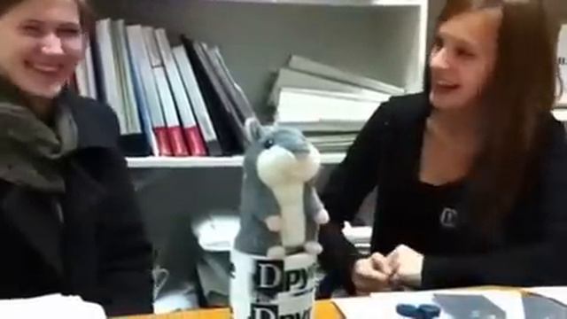 Хомяк повторяет слова смотреть онлайн