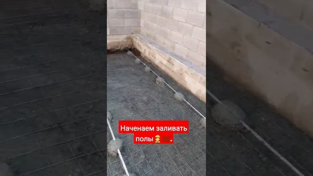 ?♂️Заливка пола гаража своими руками без специалистов?? #sorts #стяжка #маяки смотреть онлайн