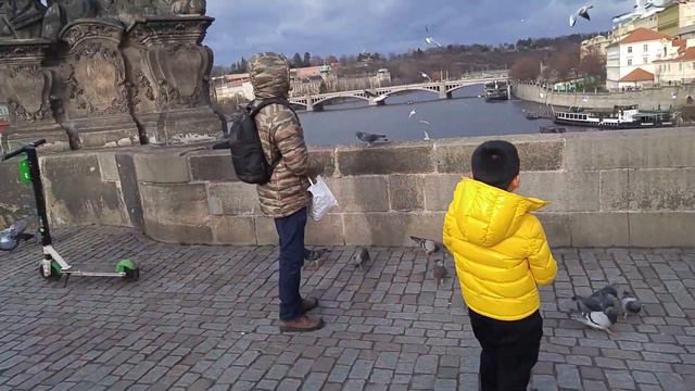 Karlov most, Praha sa kaldrmom смотреть онлайн
