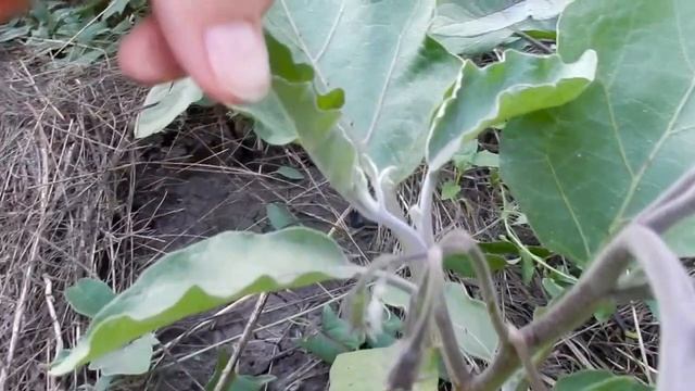 Строительные Рецепты