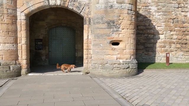 ШОТЛАНДИЯ - Места сьемки "Чужестранки" - Linlithgow Palace смотреть онлайн