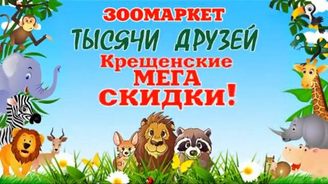 Зоомаркет-Тысячи-Друзей г.Рыбинск смотреть онлайн