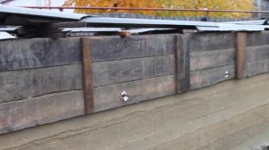 КАК ПОСТРОИТЬ БАНЮ ИЗ    опилкобетона . Продолжение.