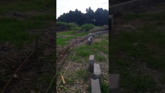 как поставить бордюры полукругом без лески смотреть онлайн