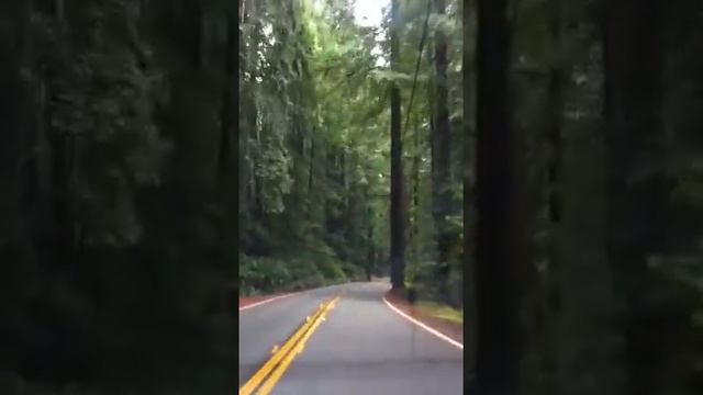 Калифорния. Авеню гигантов смотреть онлайн