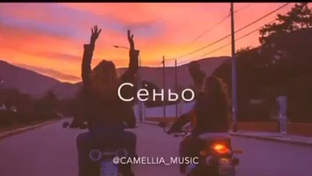 Сенью Сеньорита смотреть онлайн