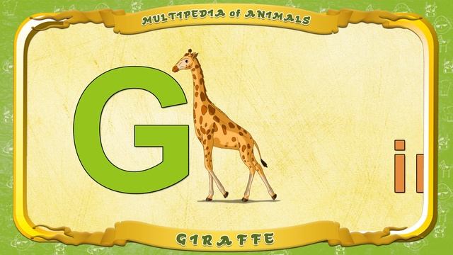 Multipedia of Animals - Letter G - Giraffe смотреть онлайн