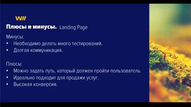 Интернет-магазин vs. Landing Page [Заметки маркетолога] смотреть онлайн