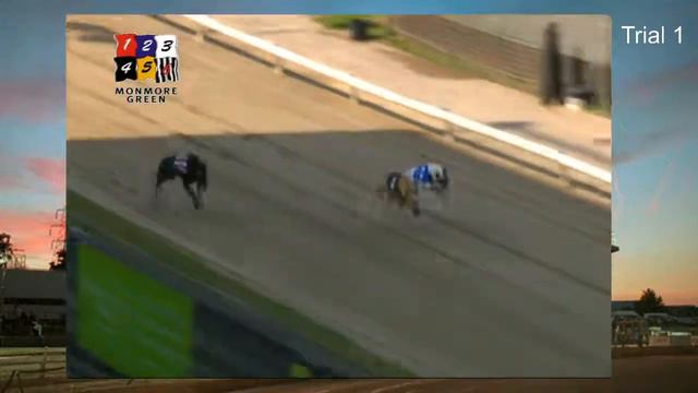 Monmore Green Stadium Greyhound Trials 25/06/20 смотреть онлайн