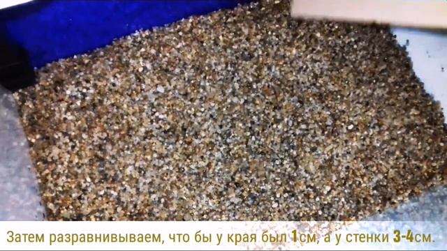Запуск красивого аквариума PRIME/Launch My Aquarium