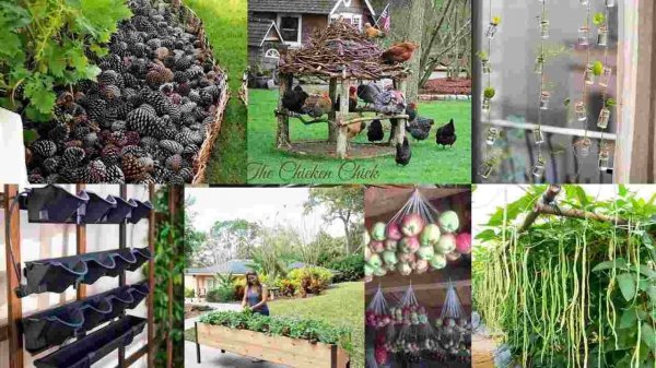 Green Paradise: Inspiration for the Gardener