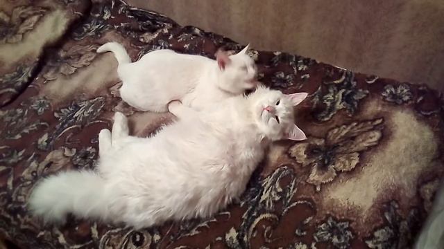 Материнская любовь смотреть онлайн