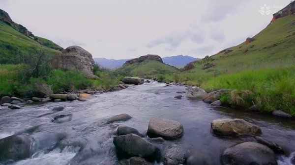 10 Hours of Calming Mountain River: Nature Sounds for Meditation and Sleep