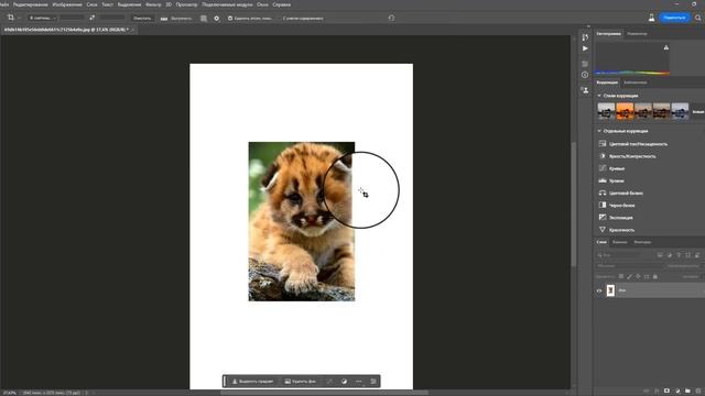 Новые инструменты в photoshop удаление и генеративная заливка. #фотошоп #photoshop #generativefill смотреть онлайн