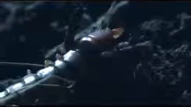 Пустынная многоножка на охоте смотреть онлайн