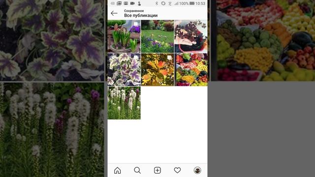 Как удалить сохранения в инстаграм. Как посмотреть сохранения смотреть онлайн
