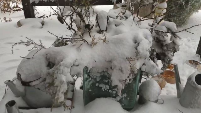 Покрасили потолок. Погуляли по саду. Пожарили новогодний шашлык. смотреть онлайн