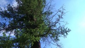 Юта - Это моя Родина