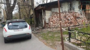 В мире животных | Встретили ворона со сломанным крылом