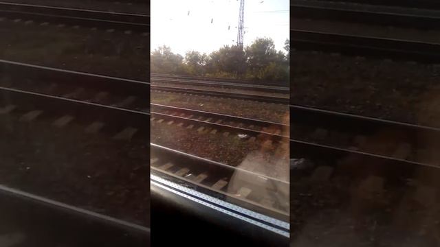 Едем на поезде чух чух смотреть онлайн