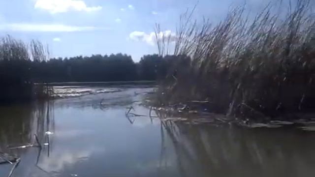Каралат. Карась прёт. 14.10.2017 смотреть онлайн