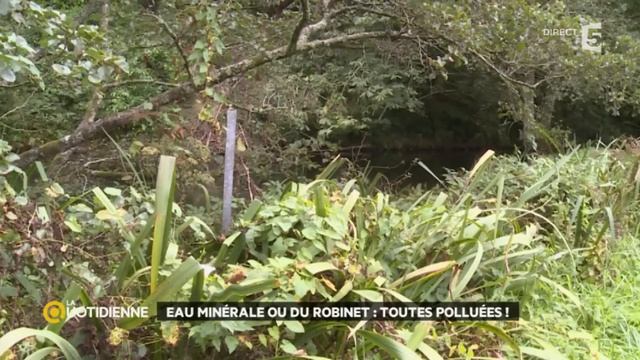 Eau du robinet, eau en bouteille : laquelle choisir ? смотреть онлайн