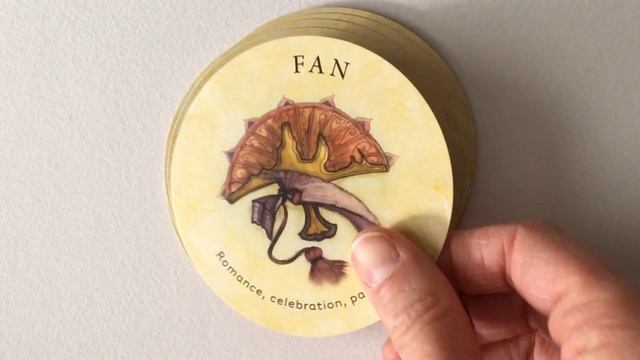 Tea Leaf Fortune Cards | Flip Through смотреть онлайн