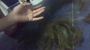 побрилась НАЛЫСО *не кликбейт* (волосы надоели)