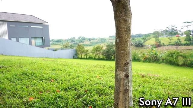 Sony A7 III vs Sony A6000 Video Comparison (Full Frame vs APSC) - GRAFICUS смотреть онлайн