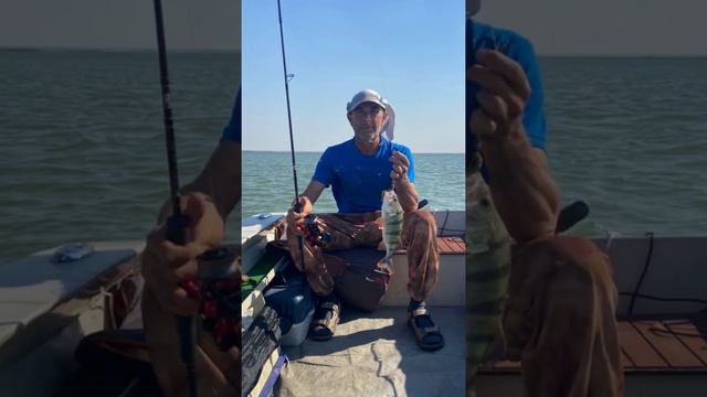 Один жаркий день в ветреную погоду на маныче 30июня. смотреть онлайн