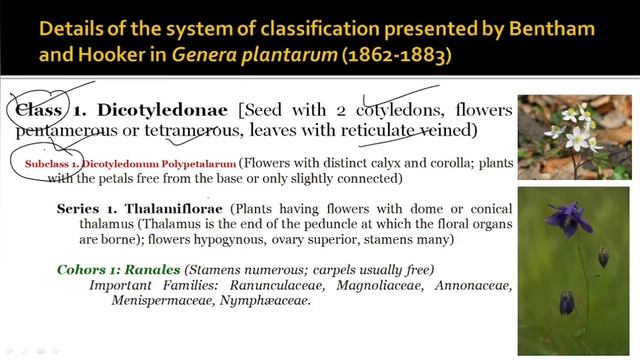 Bentham & Hooker Classification System | Genera Plantarum | Natural Classification System | Detaile смотреть онлайн