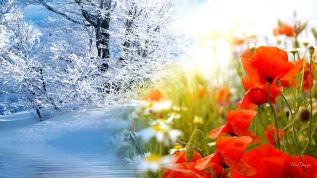 Татьяна Анциферова. Лето без тебя смотреть онлайн