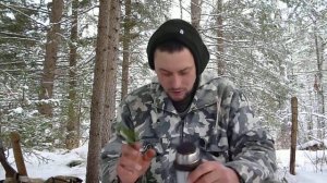 Секрет Сибирских охотников пихтовый чай