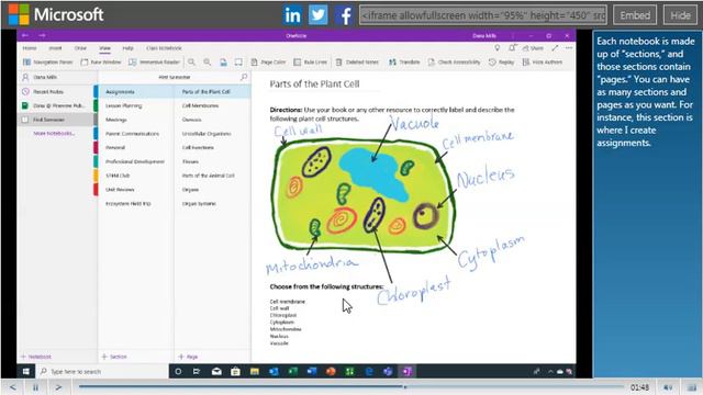 Getting started with OneNote for Windows 10 смотреть онлайн